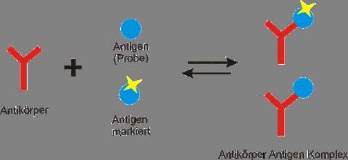 Szybkie oznaczenia kinetyczne Założenia analityczne Reakcje