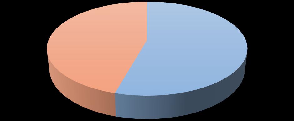 Łącznie w sondażu uczestniczyło 381 osób Ilość Kobiet/Meżczyzn Mężczyni; 174 46% Kobiety; 207 54% Ponad 8000 adresatów Anonimowy sondaż