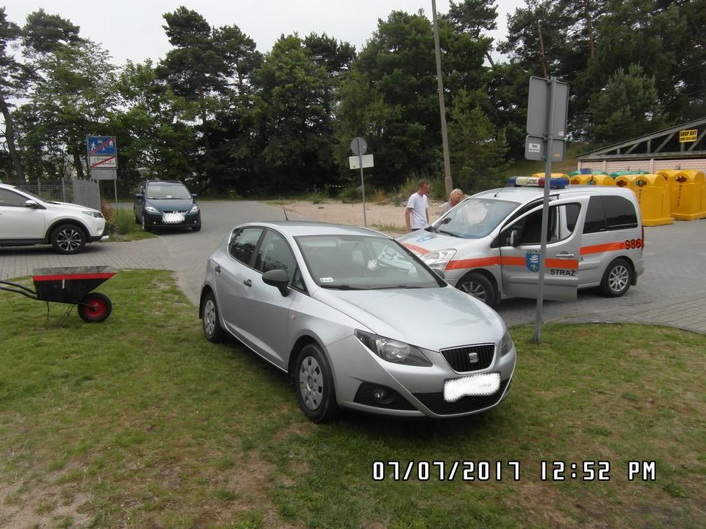 Zgłoszenia i interwencje dotyczyły również ochrony środowiska, niszczenie