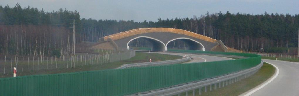 przypadkach autostrady wybudowane są na równym poziomie z otaczającym terenem, przy czym przejście dla zwierząt wybudowano na górnym poziomie.