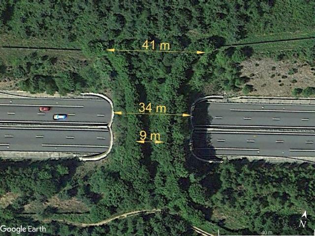 Największe pod względem obszaru w Polsce przejście górne PZD-25 nad drogą ekspresową S3 (o powierzchni ok. 8 ha, szerokości najścia ok.
