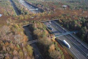 Przykładem dużej wycinki drzew w strefie buforowej może być most zielony, o szerokości 45 m, wybudowany nad autostradą A4 w Polsce (ryc. 3.47).