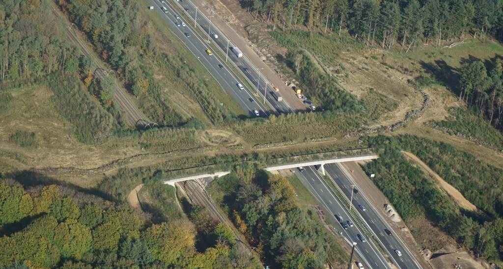 nadmiernej wycinki przedstawiono przy prezentacji największego obszarowo przejścia wybudowanego nad drogą ekspresową S3, koło wsi Popowo (ryc. 3.34 3.39). Ryc. 3.46.