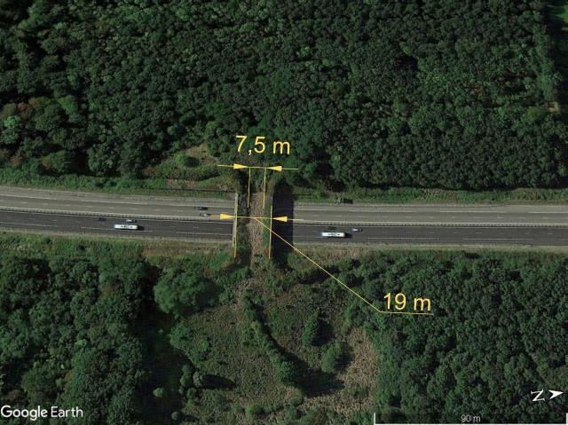 Ryc. 3.48a. Strefa buforowa przy moście zielonym, o szerokości: obiektu 23 m, pomiędzy ekranami 19 m i faktycznej szerokości strefy migracji 7,5 m Ryc. 3.48b.