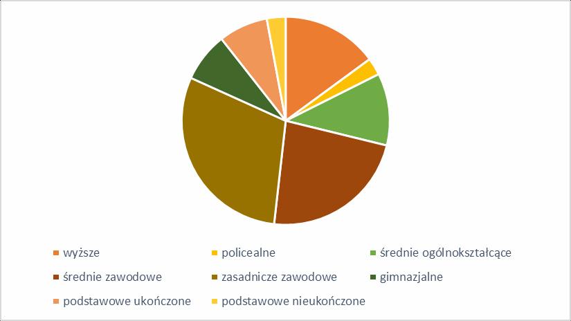 Diagnoza czynników i zjawisk kryzysowych oraz skali i charakteru potrzeb rewitalizacyjnych w Mieście Ostrów Mazowiecka wykształcenie podstawowe ukończone (28,7%) oraz średnie zawodowe (17,1%).