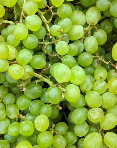 Wiesi zł kg na zrazy wołowe Winogrona białe Kraj pochodzenia: WŁOCHY 7,75 = 7,75 zł