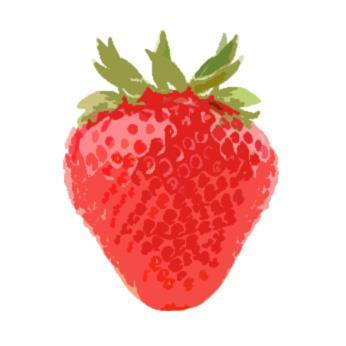 T.B. Fruit Polska sp. z o.o. S.K.A. jest częścią europejskiej grupy należącej do spółki Francoso Corporation Ltd. (Cypr).