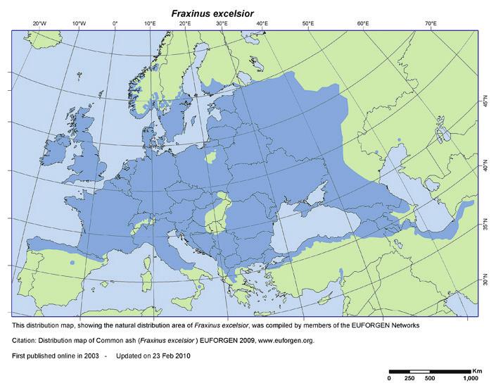 32 ZMIENNOŚĆ GENETYCZNA JESIONU WYNIOSŁEGO (FRAXINUS EXCELSIOR L.) W POLSCE Warmbier, J., Chybicki, I.J., Burczyk, J.