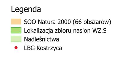 Zebrany materiał reprezentuje 31 rezerwatów przyrody, 30 drzew zachowawczych, 6 źródeł nasion, 3 drzewa mateczne oraz 1 gospodarczy