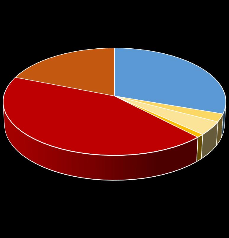 19% 30% odpady wielkogabarytowe tworzywa sztuczne 43% 3% 4% 1% zużyty sprzęt elektryczny i elektroniczny leki odpady budowlane i rozbiórkowe odpay ulegające biodegradacji 3) Osiągnięte poziomy