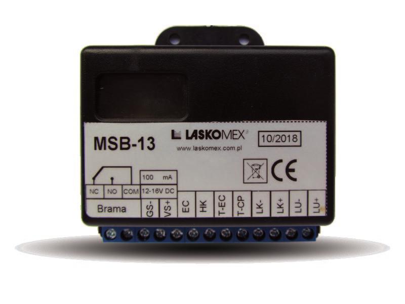 MSB-13