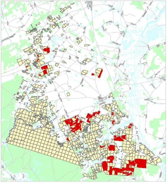 Plan przebudowy drzewostanów na gruntach porolnych Nadleśnictwa Krynki Powierzchnia drzewostanów do