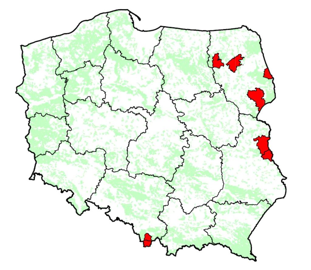 RDLP Szczecinek Przed powstaniem planu przebudowy rok 2012