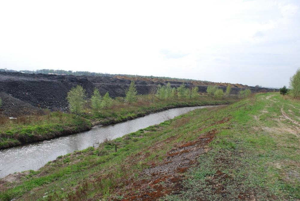 Pogłębianie i regulacja koryt rzecznych nie zawsze (wręcz rzadko) stanowi