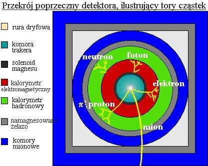 Struktura warstwowa Współczesne eksperymenty fizyki wysokich energii (zwłaszcza te na wiazkach przeciwbieżnych) sa naogół zbudowane z wielu różnorodnych elementów.