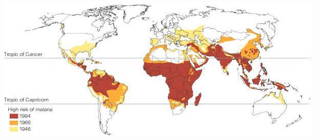 Zależność między malarią a PKB per capita Źródło: J.