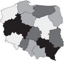Poziom i dynamika zawierania małżeństw w Polsce 261 rodne grupy regionów stwierdzamy, że ich liczba oraz skład wyraźnie zmieniały się w czasie i nie były tożsame na obszarach miejskich i wiejskich.