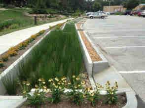 com/2011/07/98- complete.jpg Spływ powierzchniowy z terenu parkingu (jezdni) do filtra roślinnego (ogrodu deszczowego).