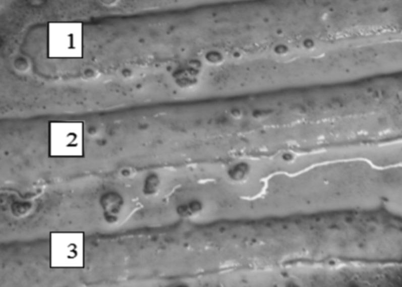 Zgodnie ze specyfikacją techniczną, drut rdzeniowy EnDOtec DO390N (nano) jest specjalnym opatentowanym materiałem dodatkowym do napawania łukowego GMA o stopiwie nanometalicznym, charakteryzującym