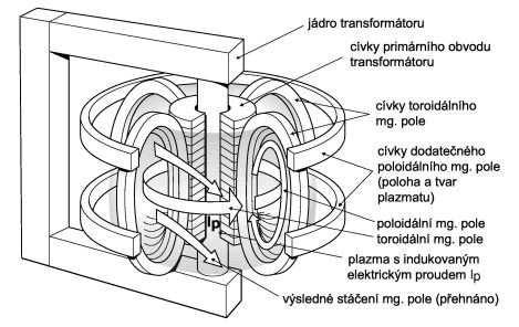 Obrázek 1.5: Schéma tokamaku, kde výsledné šroubovicové magnetické pole vzniká součtem pole toroidálního a poloidálního.