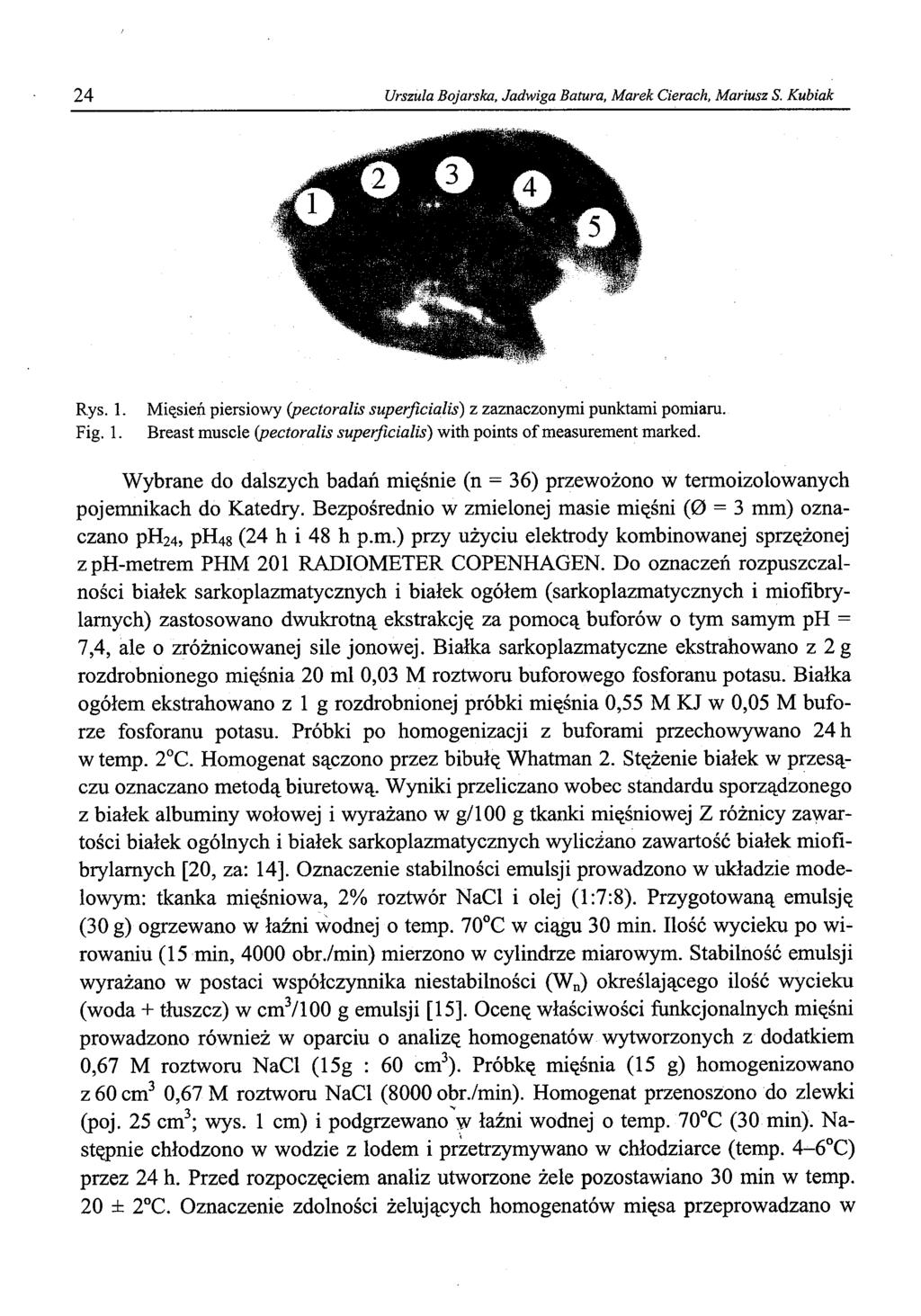 24 Urszula Bojarska, Jadwiga Batura, Marek Cierach, Mariusz S. Kubiak Rys. 1. Fig. 1. Mięsień piersiowy (pectoralis superficialis) z zaznaczonymi punktami pomiaru.