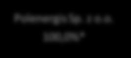 Podstawową działalnością spółki są consulting i usługi doradcze. Kapitał zakładowy wynosi 50.000 PLN. Polenergis Sp. z o.o. 100,0%* PolDevelopment24 Sp.
