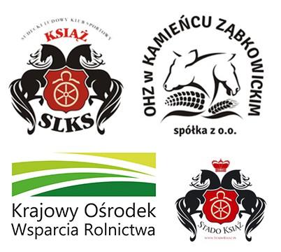 XIII MISTRZOSTWA MŁODZIEŻY SZKOLNEJ I AKADEMICKIEJ W UJEŻDŻENIU O PUCHAR ZBIGNIEWA DĄBROWSKIEGO WAŁBRZYCH KSIĄŻ, 1 