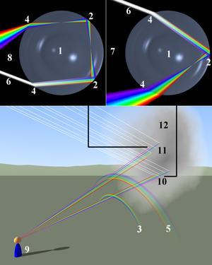 odbicie 3 - tęcza pierwotna 4 - rozszczepienie światła 5 - tęcza wtórna 6 - promienie światła białego 7 - bieg promieni tworzących