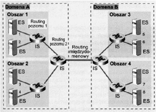 intermediate system (router) y wewnętrzne y brzegowe y zewnętrzne Level 1 routing ograniczony do jednego obszaru