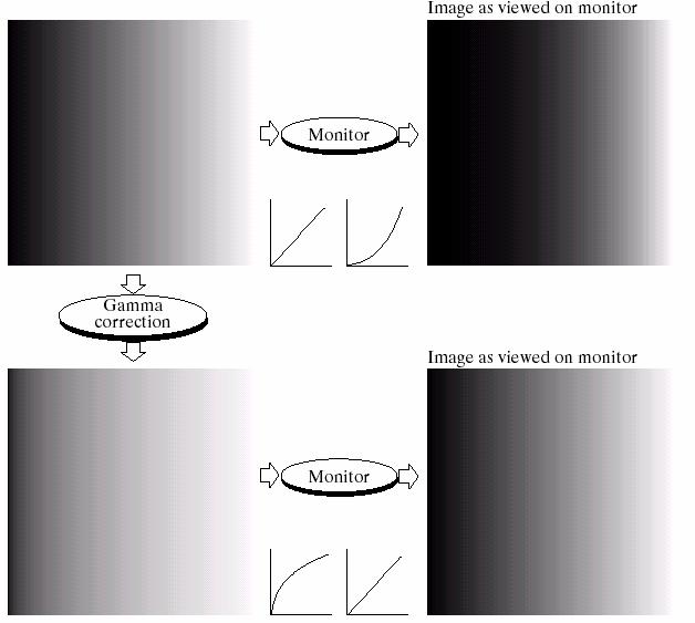 Korekcja gamma Korekcja gamma jest wykorzystywana do usuwania zniekształceń jasności obrazu wprowadzanych przez urządzenia (np.