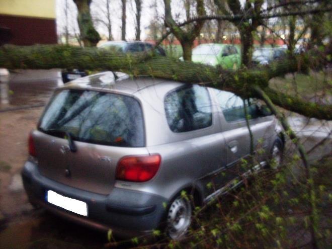 Strażacy najczęściej wyjeżdżali do zalanych piwnic, jednakże zalaniu uległo: przychodnia na osiedlu Zatorze, sklep na ulicy Dworcowej, przejście przy