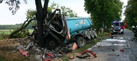 Nagrody przyznawano w tym roku po raz ósmy. Kapitułę Nagrody tworzą m.in.