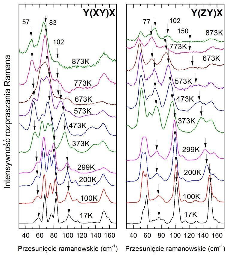 Rys. 33. Temperaturowe zależności szerokości połówkowych wybranych modów Bi 2 WO 6 dla konfiguracji Y(XY)X i Y(ZY)X.