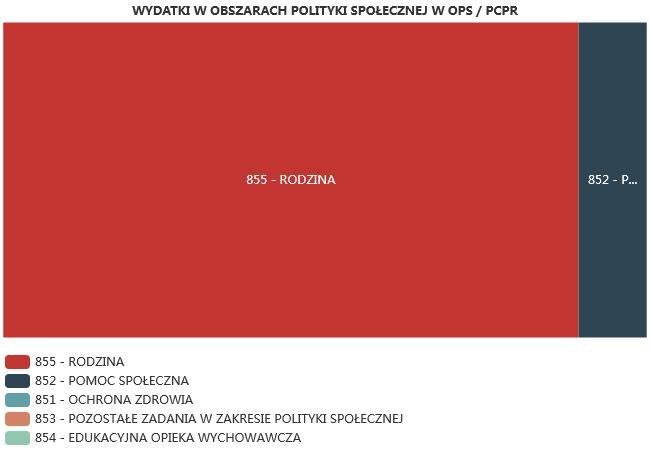 ŚRODKI FINANSOWE NA WYDATKI W POMOCY SPOŁECZNEJ I INNYCH OBSZARACH POLITYKI SPOŁECZNEJ W BUDŻECIE JEDNOSTKI SAMORZĄDU TERYTORIALNEGO (zadania własne i zadania zlecone) W złotych WYSZCZEGÓLNIENIE 217