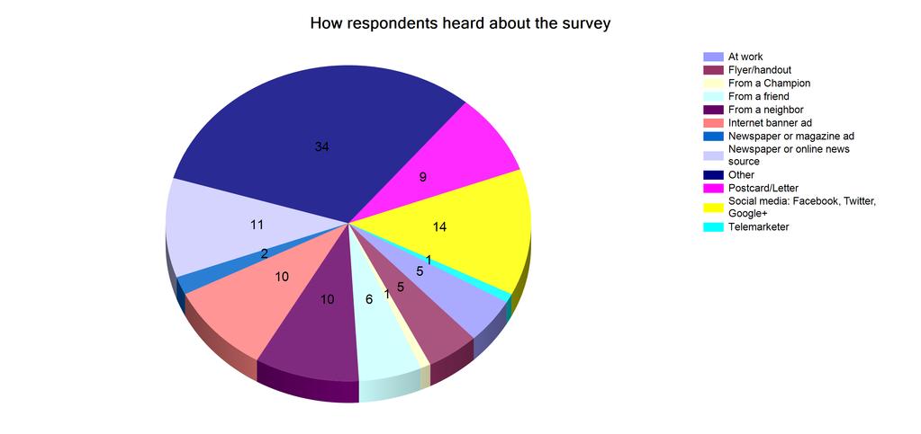 Additional information How respondents heard about the survey is a good way to analyze which kind of marketing and communication platforms worked best when