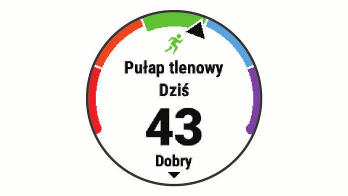 Umożliwia on porównanie kondycji mierzonej podczas treningu z ogólnym poziomem kondycji.