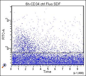 Fluo-4 % kontroli Fluo-4 Fluo-4 A bez SDF-1 2,5 % Kontrola 6,5 % Czas Czas + hips-evs (6 godz.) 18,1 % Czas B 300 270 240 160 120 80 40 0 * * 2 6 24 Czas [godz.] Rycina 32.