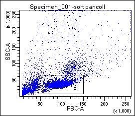 SSC Liczba komórek (x 10 3) /ml KP SSC CD45 SSC A 56,1 % R1 38,5 % R2 95,1 % R3 FSC Lin CD34 B CD34 98,4 % R5 Rycina 21. Izolacja komórek CD34 + z KP za pomocą FACS.