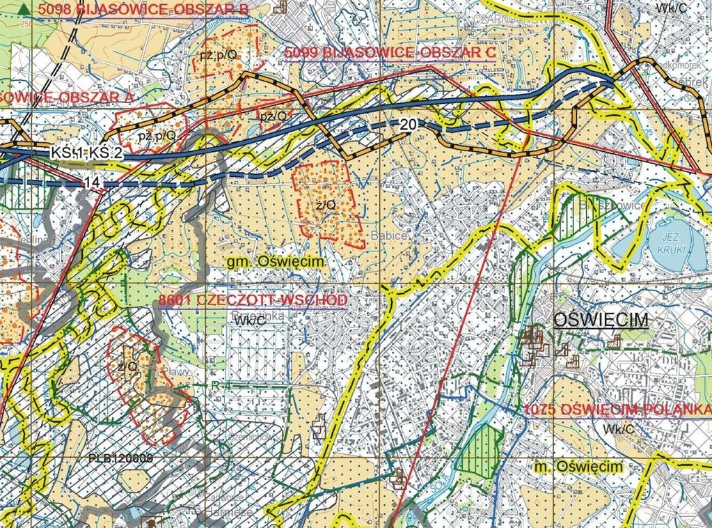 Obszar Specjalnej Ochrony Ptaków Natura 2000 Stawy w Brzeszczach (PLB120009) Droga