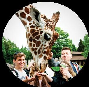 BILETY WSTĘPU DO ZOO: 10 ZŁ BILET ULGOWY 20 ZŁ BILET NORMALNY Śląski Ogród Zoologiczny,