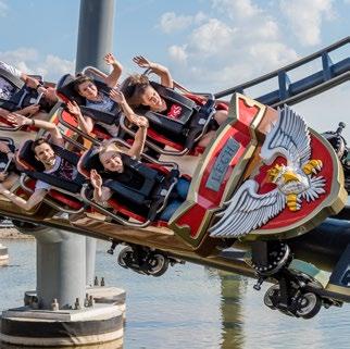 strzelniczy w pojazdach, a także animatronika. Tematem przewodnim atrakcji jest polska legenda o Bazyliszku potworze zamieniającym ludzi i zwierzęta w kamień.
