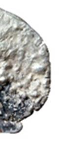 Nieufność odbiorcy mogła wzbudzić słaba jakość wykonania monety płytki, niewyraźny relief i niska waga (1,78 g).
