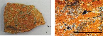 234 Wojciech Kaczan Ryc. 3. Odmiana jasno-kremowo-brunatna; po lewej stronie uwidocznione skupiska minerałów ciemnych Fig. 3. Light-ocher-brown type; on the left hand side visible agglomerations of dark minerals zauważono skupiska minerałów ciemnych oraz żyłki wypełnione minerałami krzemionkowymi.
