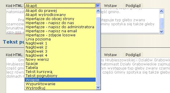 Generator zawiera typowe znaczniki HTML jak i nie typowe np.