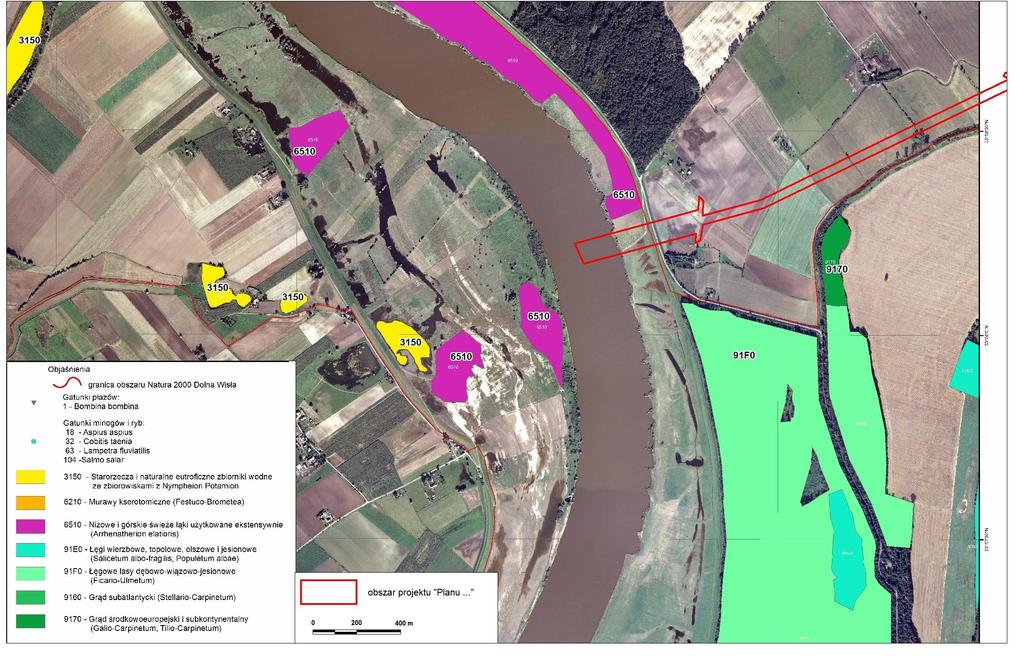 53 Rys. 11 Siedliska przyrodnicze obszaru Natura 2000 Dolna Wisła PLH220033 w otoczeniu obszaru projektu Planu.