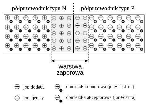 W obszarze złącza następuje dyfuzja elektronów z n do p, a w drugim kierunku dziur i następuje ich rekombinacja.