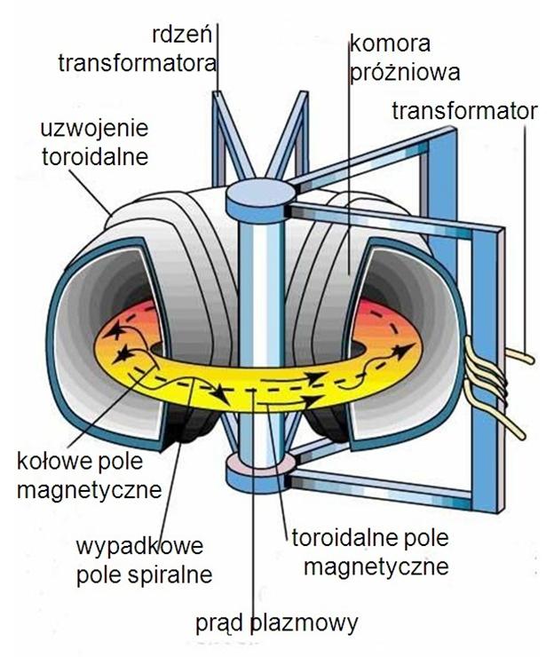 Schemat reaktora termojądrowego typu tokamak Znajdująca się w komorze plazma poddana jest działaniu pól magnetycznych wytworzonych przez układ elektromagnesów skierowanych wzdłuż i w poprzek toroidu.