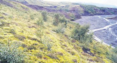 Bændablaðið Fimmtudagur 30. apríl 2015 41 úrskurður meirihluta yfirítölunefndar og meðferð nefndarinnar á þeim gögnum sem fyrir liggja leiði til ofbeitar svæðisins.