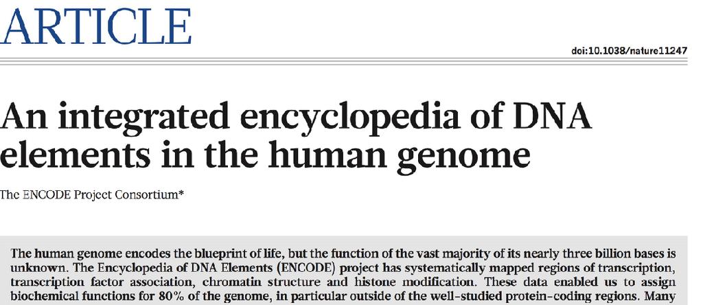 Spór wokół ENCODE ENCODE - projekt opisujący sekwencje w genomie (Encyclopedia of DNA Elements) Wiele sekwencji międzygenowych, niekodujących ulega transkrypcji 80% genomu
