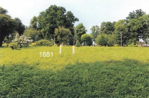 niezabudowany Powierzchnia użytkowa zabudowań / lokalu: 0 m 2 Powierzchnia gruntu: 700 m 2